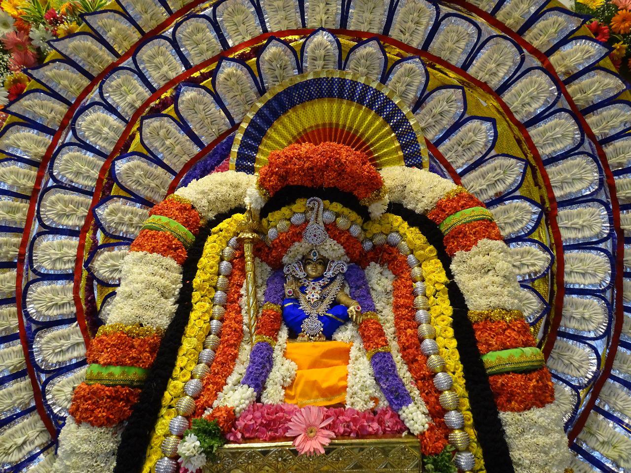 Stage Decoration Work